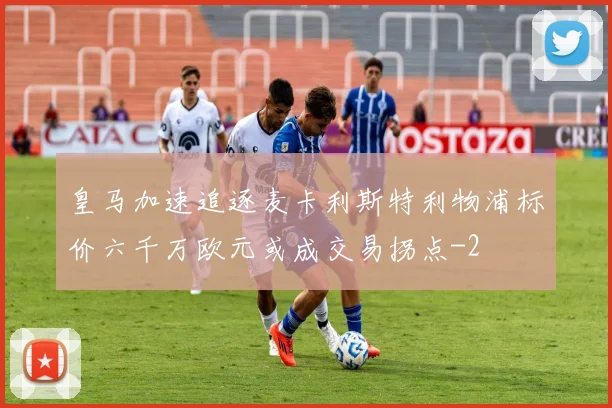 皇马加速追逐麦卡利斯特利物浦标价六千万欧元或成交易拐点