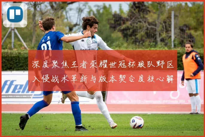 深度聚焦王者荣耀世冠杯狼队野区入侵战术革新与版本契合度核心解析